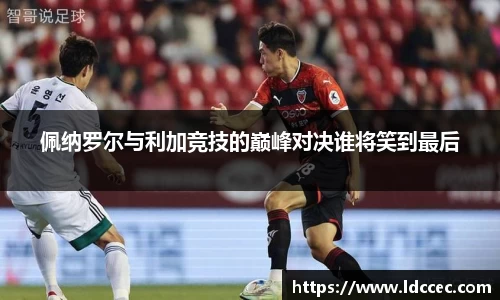 BB贝博ballbet